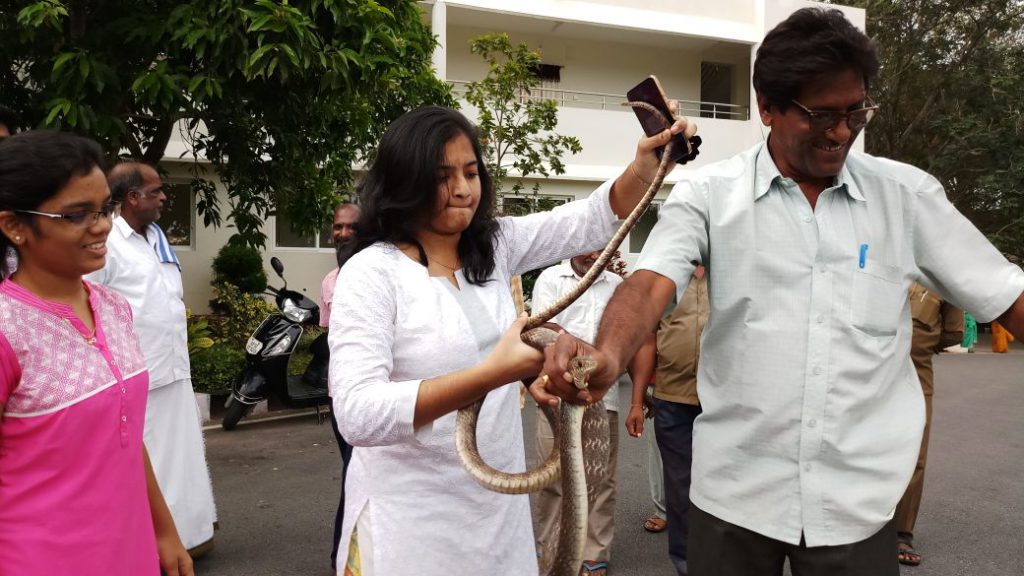 Snake hulchal at Padmavathi Guest House in Tirumala Tirumala Updates